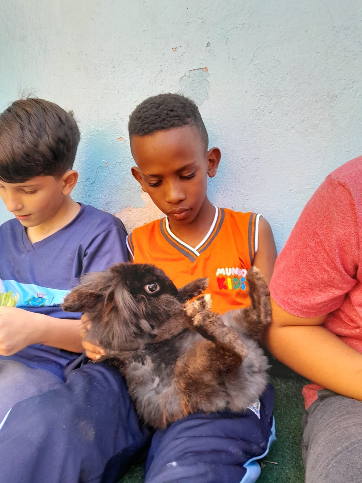 Crianças cuidando do coelho no Espaço Pet